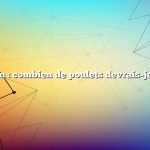 Question : combien de poulets devrais-je avoir ?